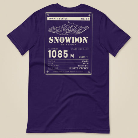 Summit Series Snowdon T-Shirt in Team Purple, laid flat, back view