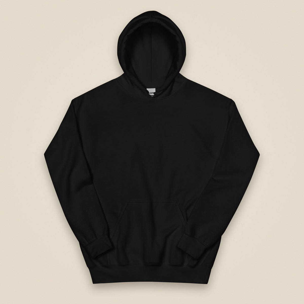 Drone Pilot Heavy Blend Back Print Hoodie in Black, front view