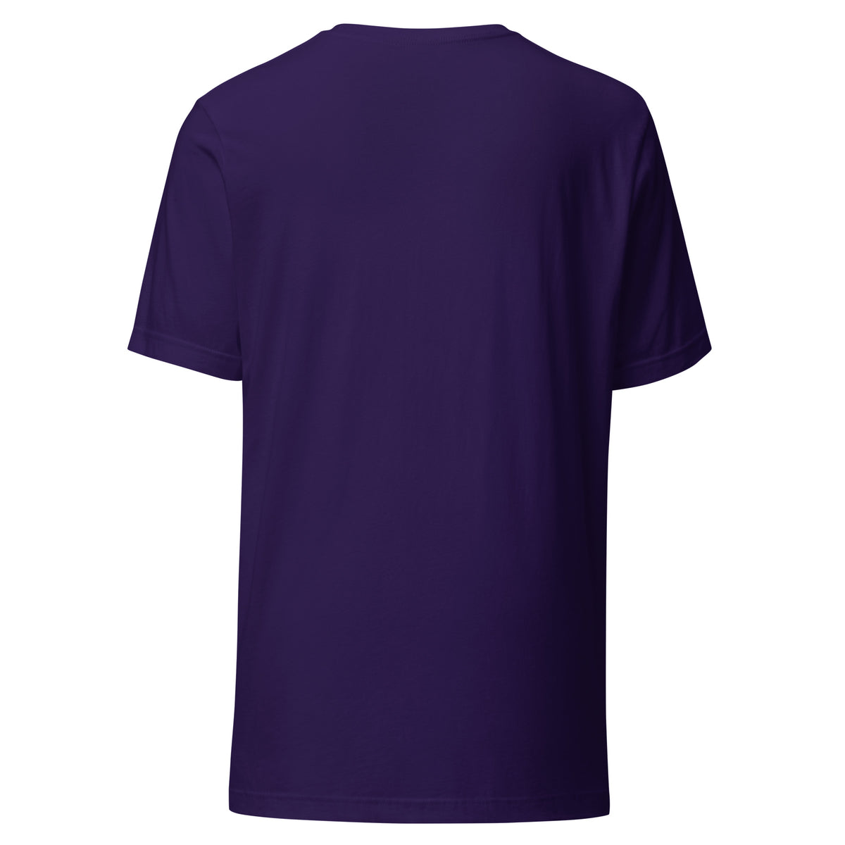 Sloth Hiking Club: Hilltop T-Shirt in Team Purple, plain back view