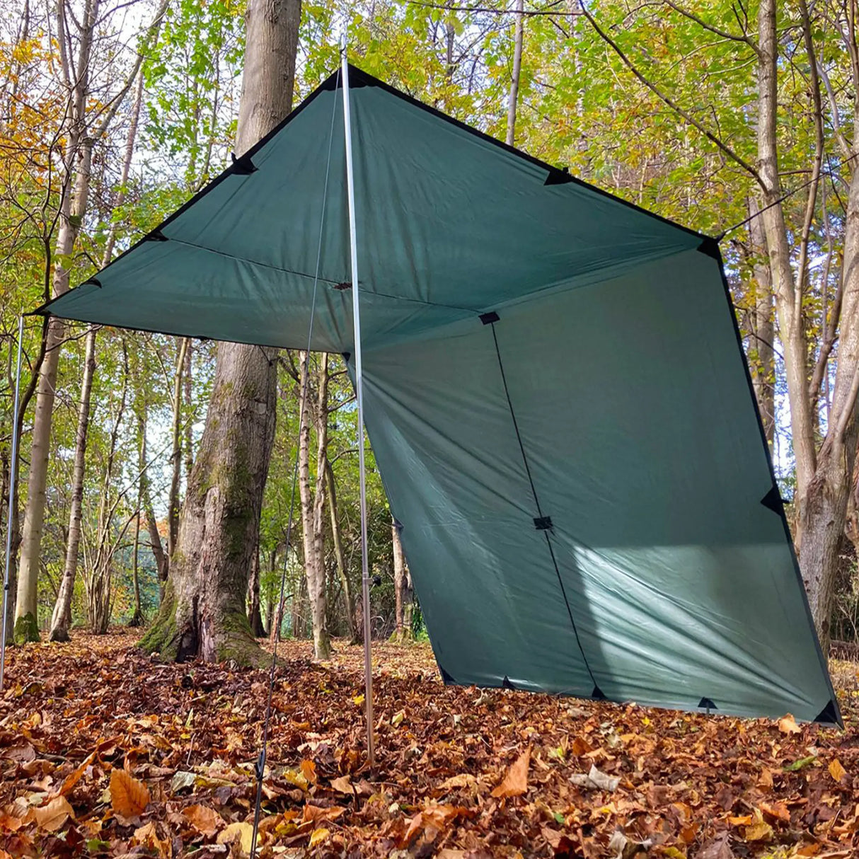DD Tarp XL in olive green for camping as a shelter