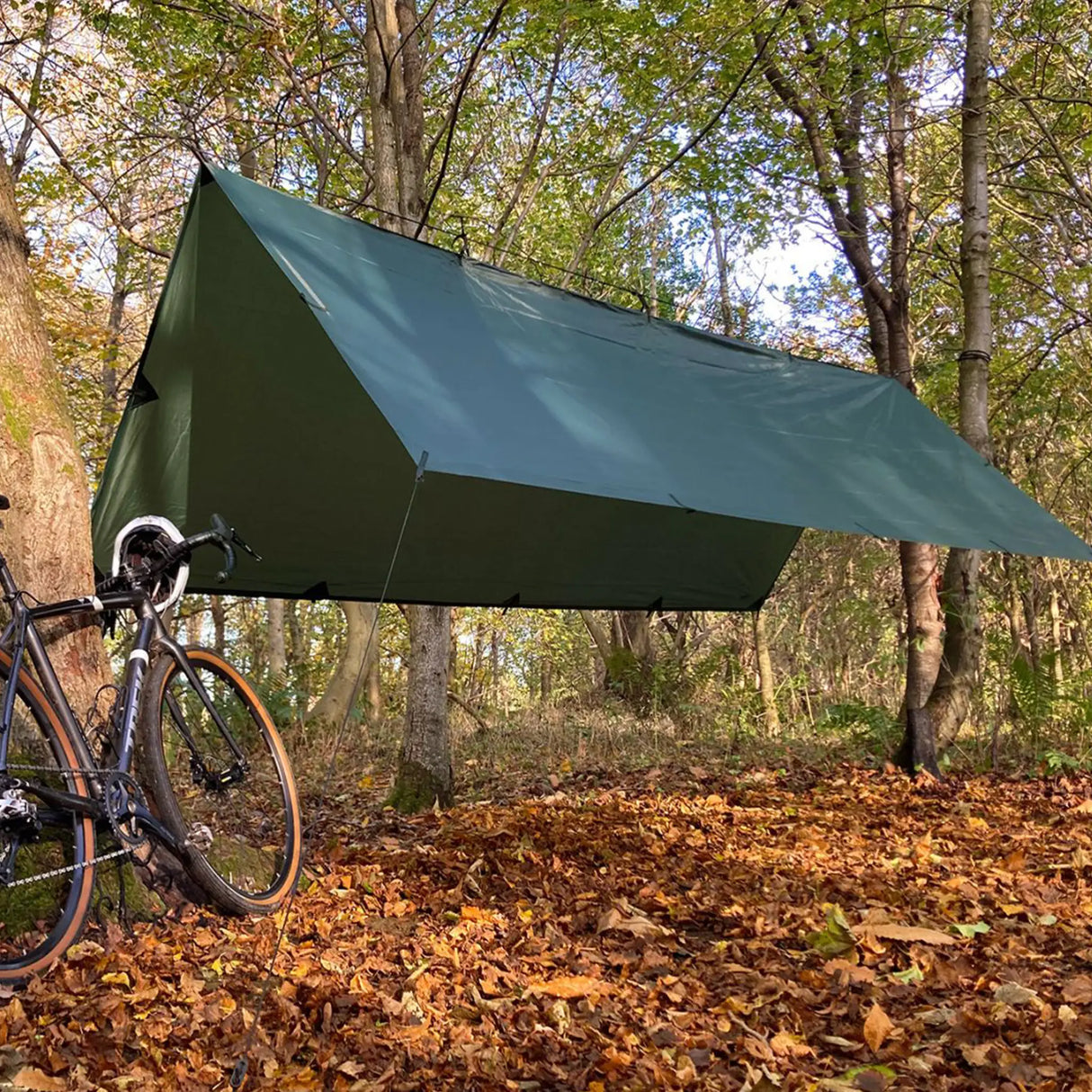 DD Tarp XL in olive green for camping as a shelter